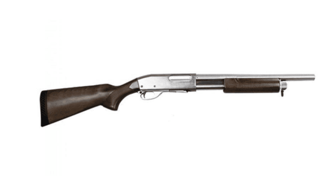 S&t st870 police spring shotgun (full metal - silver - real wood - stspg07svs) - S&T - view 2