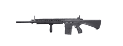 Golden eagle sr25  aeg f6652 long with mosphet