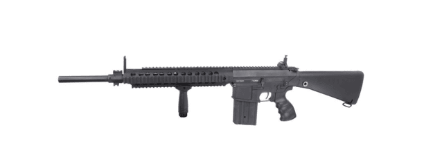 Golden eagle sr25  aeg f6652 long with mosphet - Golden Eagle