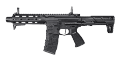 G&g ARP 556 2.0