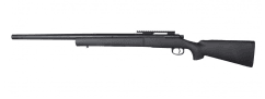 Raven Evolution Bolt SR24 Sniper Rifle