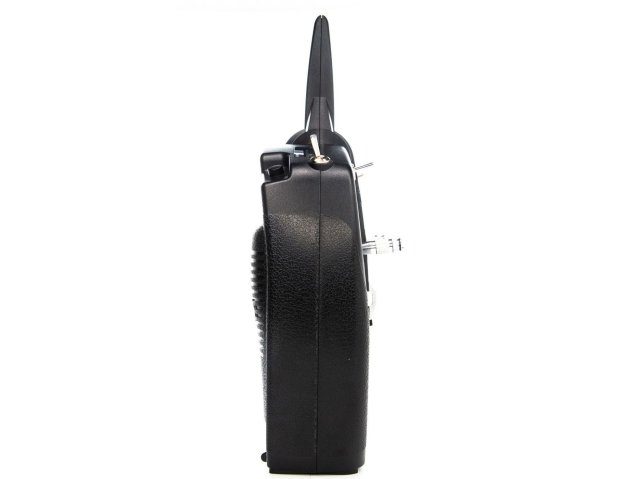 DXS System with AR410 Receiver - Radios - view 4