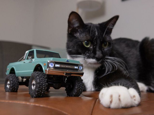 green 1/30 SCX30 Chevrolet K10 4X4 RTR Rock Crawler - Cars - view 22